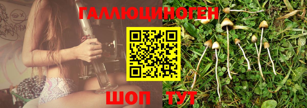 Сертолово  магазин продажи наркотиков  Вход с VPN  Псилоцибиновые грибы Psilocybine cubensis  Галлюциногенные грибы прущие грибы 
